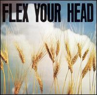 AA.VV. - Flex Your Head